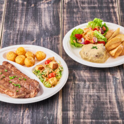 Platos bagazo