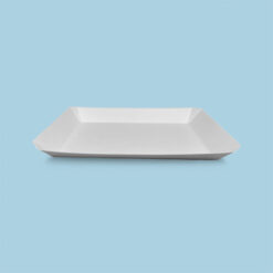 Bandeja Plana Darnel Naturals #10 Blanco (600 unidades)